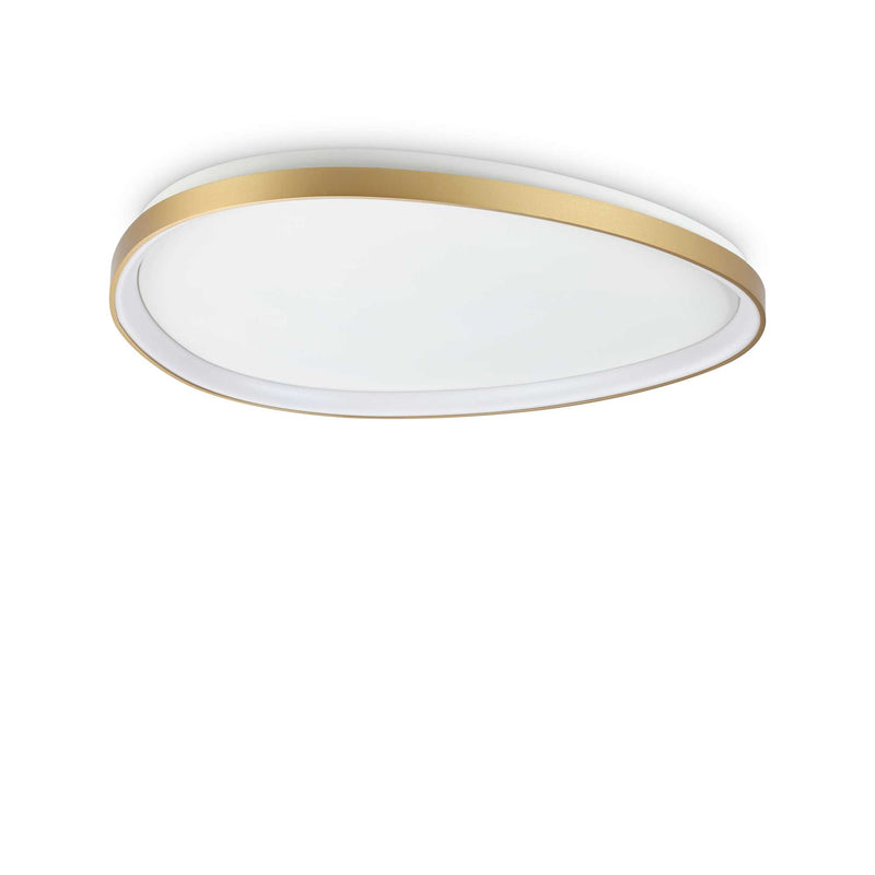 Gemini pl d081 dali/push Plafoniera LED ottone