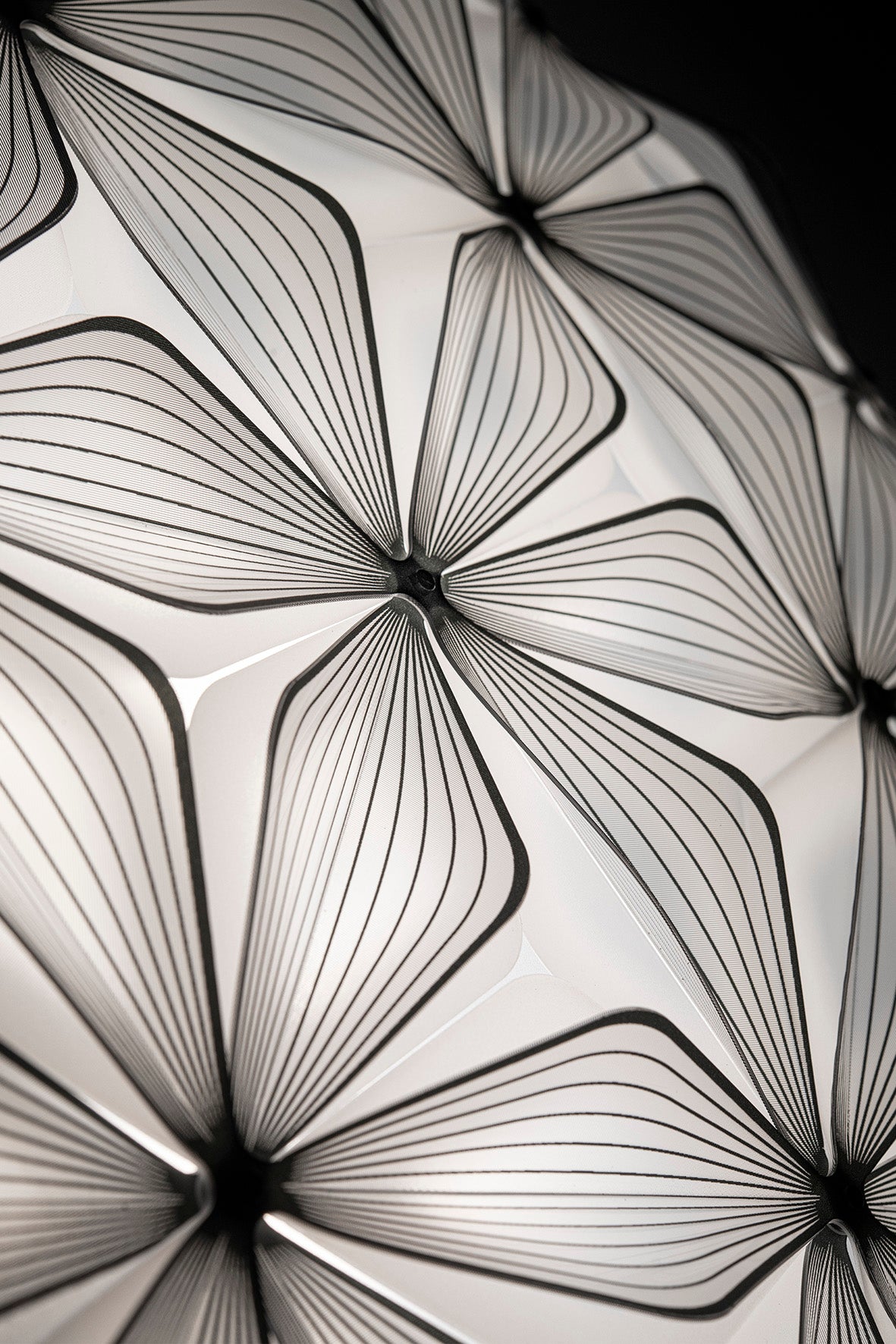 C'est La Vie Ceiling/Wall Large Black Lampada da soffitto parete diametro 71 cm.