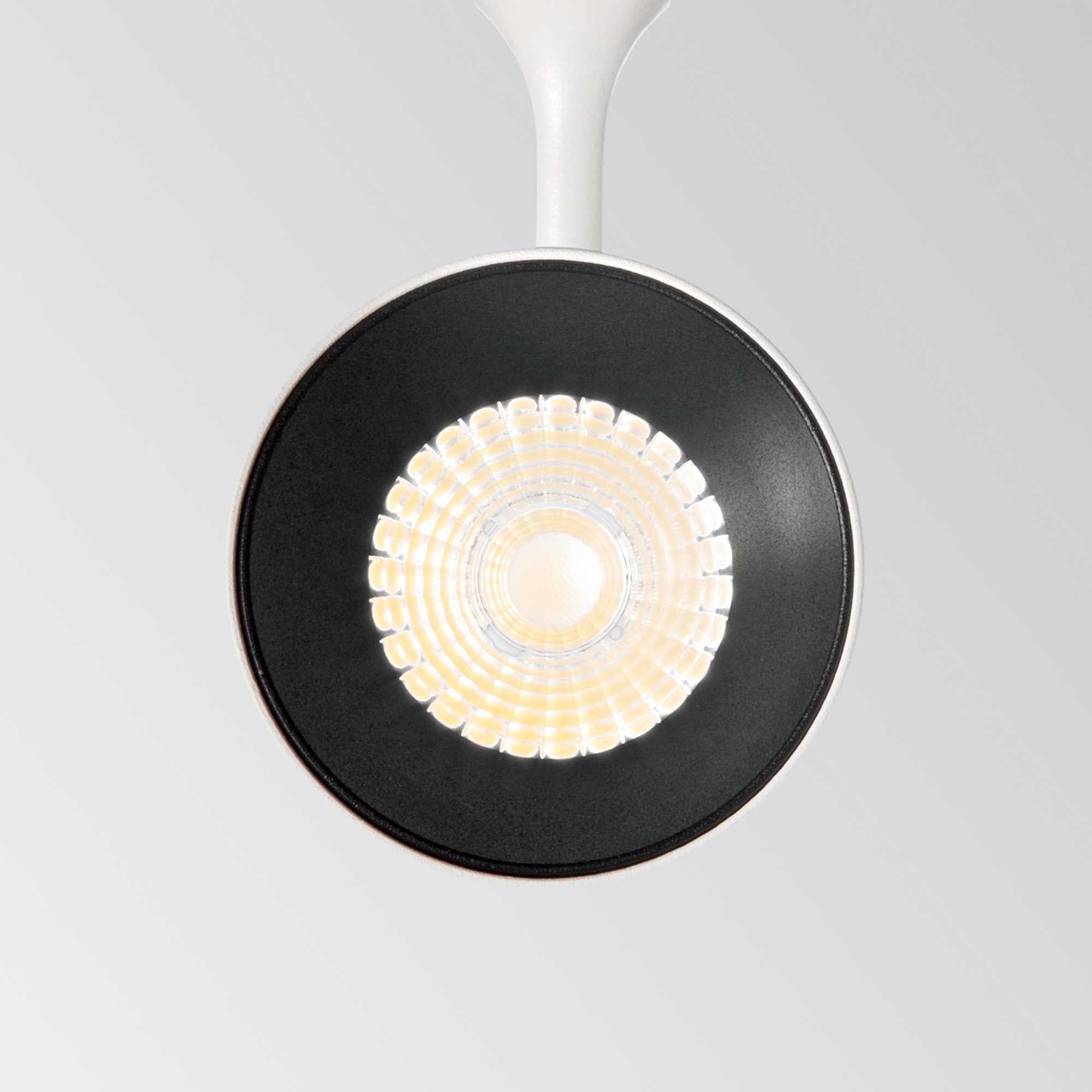 Smile 30w cri80 50° 4000k Proiettore led bianco