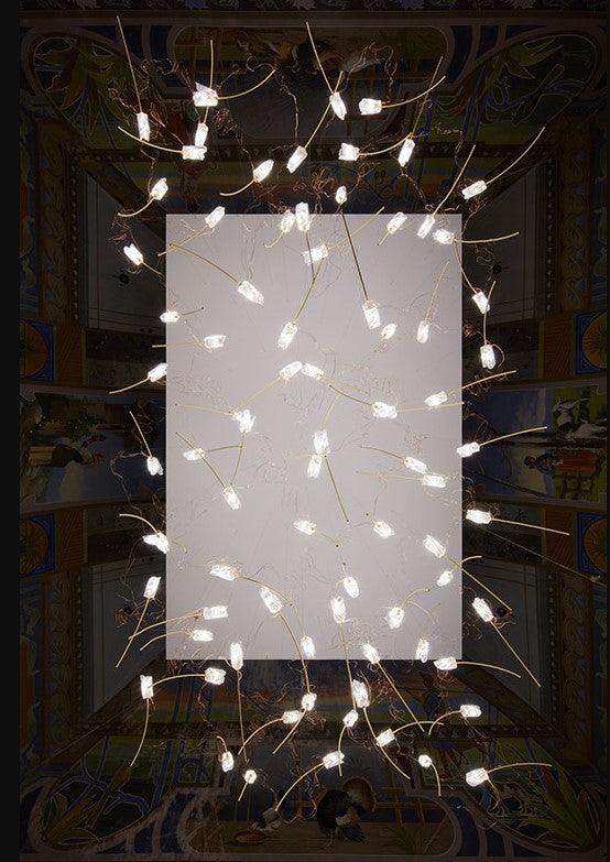 Tulip 7 Linear Suspension Lampadario 7 luci in Ottone Satinato Lentiflex®