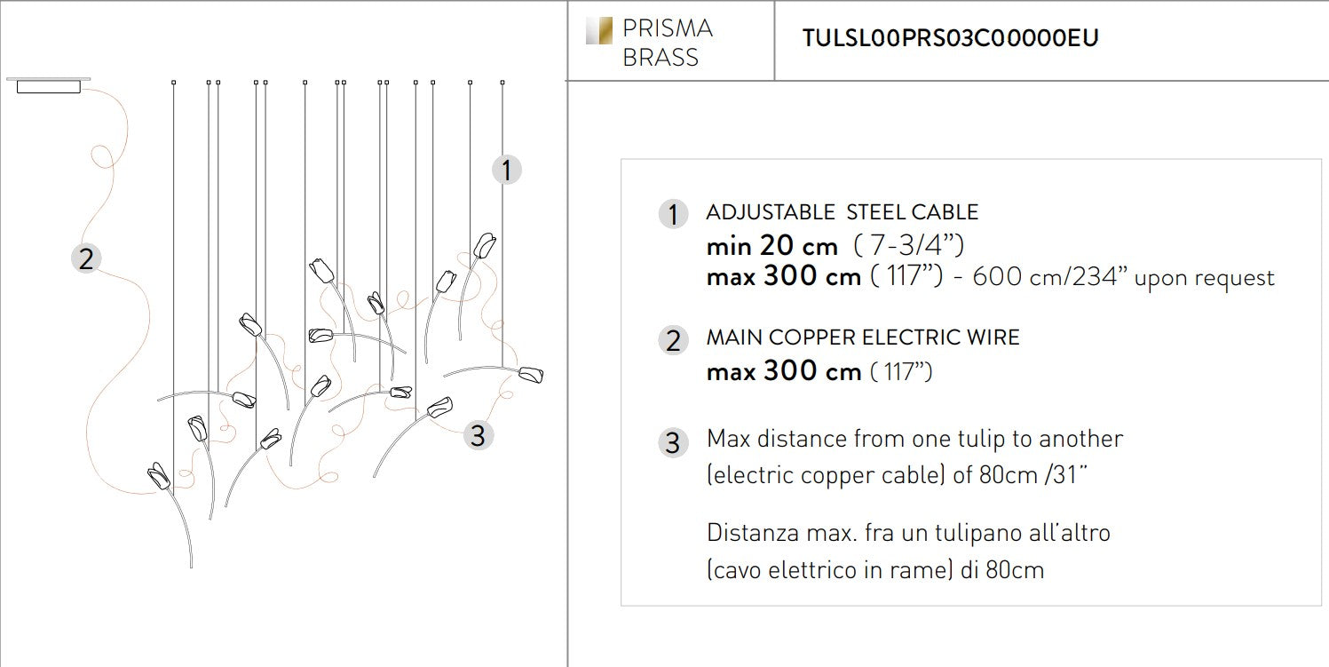 Tulip 14 Free-Standing Suspension Lampadario 14 luci in Ottone Satinato Lentiflex®