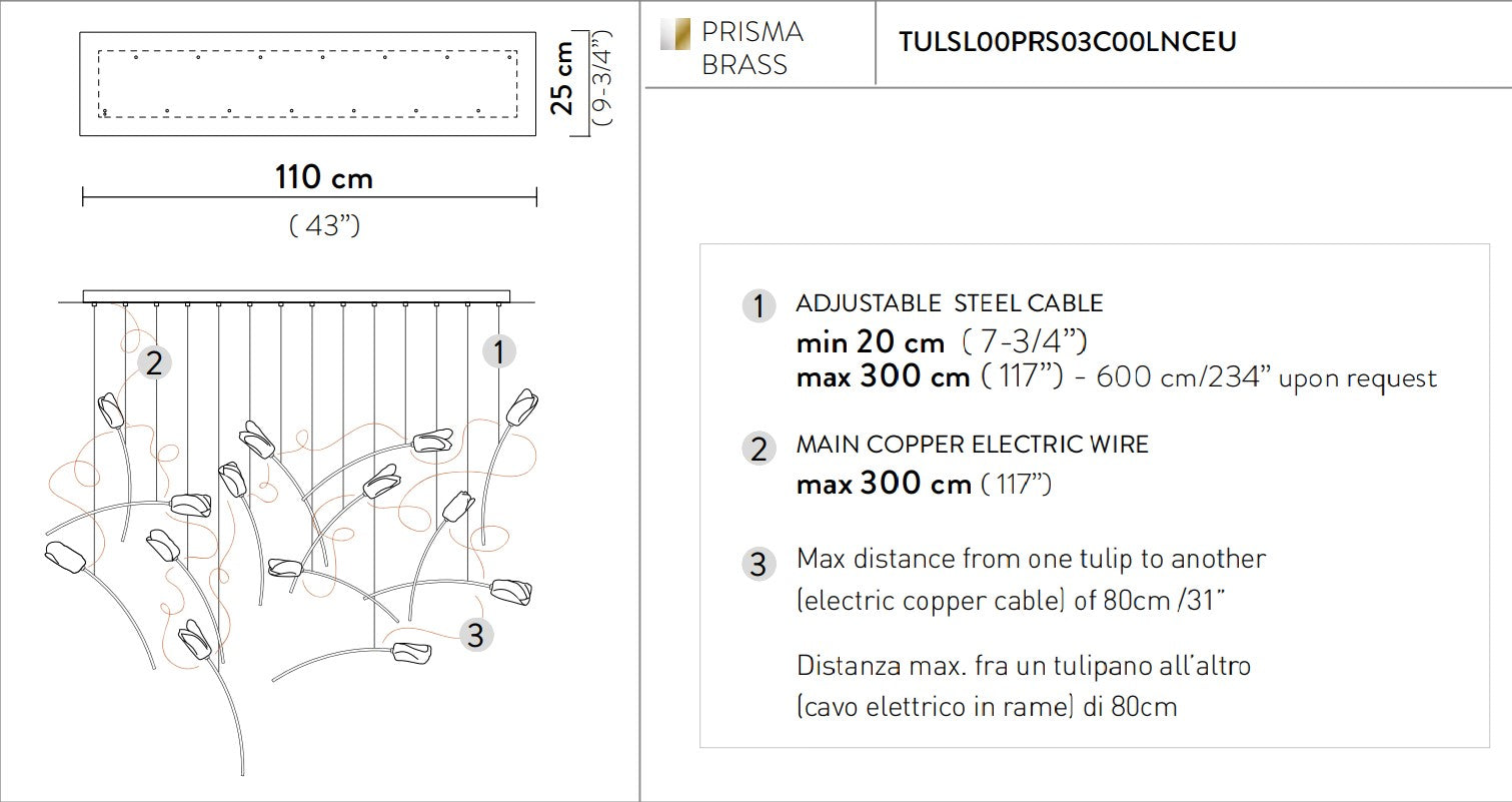 Tulip 14 Linear Suspension Lampadario 14 luci in Ottone Satinato Lentiflex®