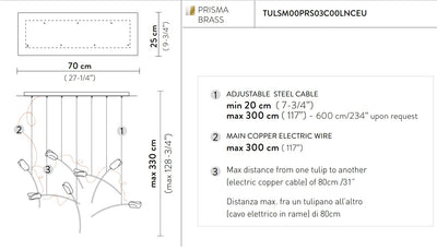 Tulip 7 Linear Suspension Lampadario 7 luci in Ottone Satinato Lentiflex®