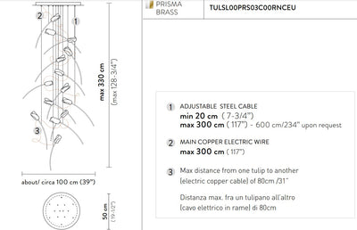 Tulip 14 Round Suspension Lampadario 14 luci in Ottone Satinato Lentiflex®