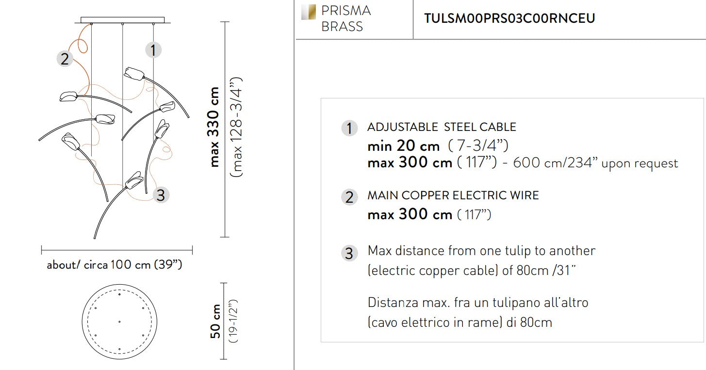 Tulip 7 Round Suspension Lampadario 7 luci in Ottone Satinato Lentiflex®