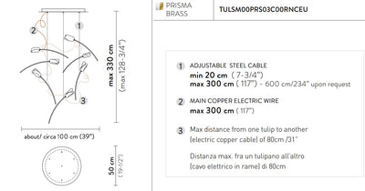 Tulip 7 Round Suspension Lampadario 7 luci in Ottone Satinato Lentiflex®