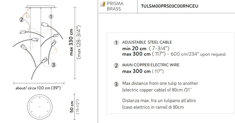 Tulip 7 Round Suspension Lampadario 7 luci in Ottone Satinato Lentiflex®